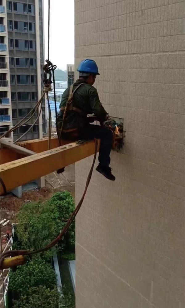 �≦�A�Ƙ�����������Q